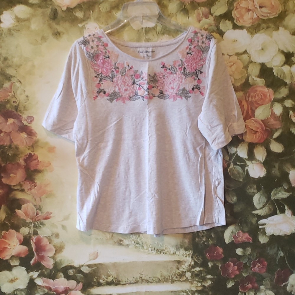 2/$5 Croft & Barrow Sz PL top